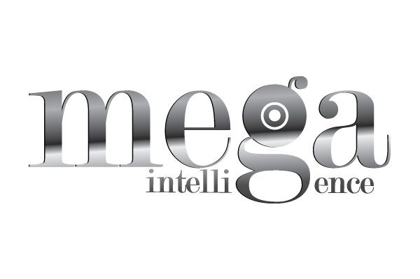 Mega Intelligence Logo